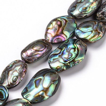Natural Abalone Shell/Paua Shell Beads SSHEL-E379-1-1