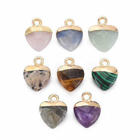 Natural & Synthetic Mixed Stone Charms G-N326-121-M-1