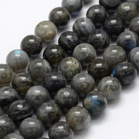 Natural Labradorite Beads Strands G-P322-31-12mm-1