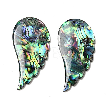 Natural Abalone Shell/Paua Shell Big Pendants SHEL-K006-14-1