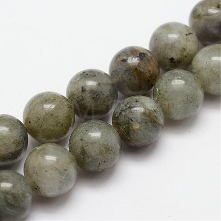 Natural Labradorite Bead Strands G-O155-05A-4mm-1
