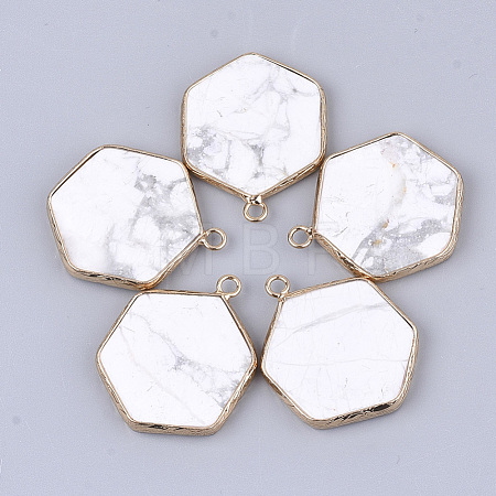 Natural Howlite Pendants G-S344-89I-1
