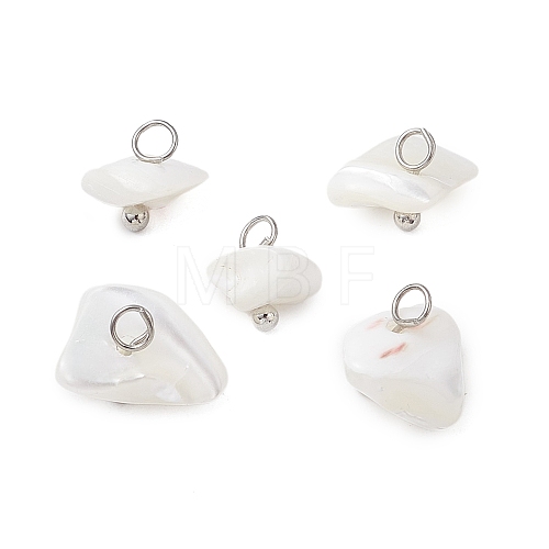 Natural Trochus Shell Nuggets Charms PALLOY-JF03439-02-1