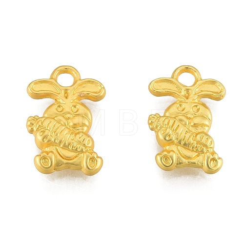 Alloy Charms FIND-G035-06MG-1