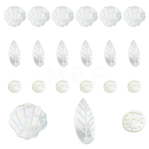 18Pcs 3 Styles Natural Sea Shell Pendants FIND-DC0003-75-1
