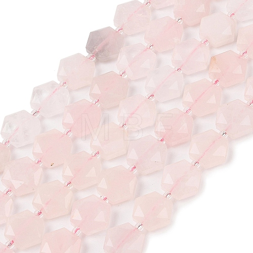 Natural Rose Quartz Beads Strands G-G144-A03-01-1