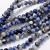 Natural Sodalite Beads Strand GSR6mmC013-1
