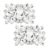 HOBBIESAY 2Pcs Alloy Rhinestone Shoe Buckle Clips AJEW-HY0001-65A-1