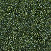 MIYUKI Round Rocailles Beads SEED-G007-RR0350-3
