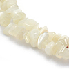 Natural White Moonstone Beads Strands G-P332-01-2