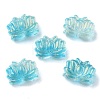 Transparent Acrylic Beads OACR-K005-12-2