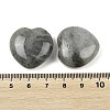 Natural Labradorite Heart Love Stone G-P616-A01-01-3