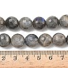 Natural Labradorite Beads Strands G-L642-F07-12mm-5