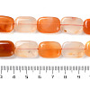 Natural Agate Beads Strands G-H024-F01-01-5