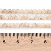 Natural Freshwater Shell Beads Strands X-SHEL-T011-02-3mm-4
