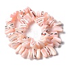 Dyed Natural Trochus Shell Beads Strands SSHEL-C013-09L-2