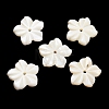 Natural Freshwater Shell Carved Pendants SHEL-C010-07-1