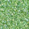 FGB Transparent Colours Glass Seed Beads SEED-Q040-07A-B06-3
