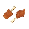 Raw Rough Natural Amber Pendants PALLOY-JF05335-3
