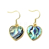 Brass Natural Paua Shell Dangle Earrings EJEW-M060-19D-G-4