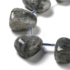 Natural Labradorite Beads Strands G-P528-E10-01-3