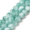 Natural Glass Beads Strands G-I247-31C-1