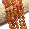 Natural Malaysia Jade Beads Strands G-L645-C01-14mm-29-3