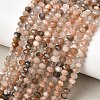 Natural Black Moonstone Beads Strands G-K376-I05-3x4mm-1