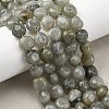 Natural Labradorite Beads Strands G-P623-A03-02-1