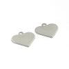 Tarnish Resistant 304 Stainless Steel Charms STAS-D431-27-1
