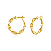 Brass Hoop Earrings WG72D12-01-2