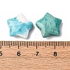 Natural Howlite Charms G-H241-04E-4