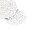FGB Grade A Drawbench Style Glass Seed Beads SEED-Q040-02A-01-2