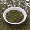 MIYUKI Round Rocailles Beads X-SEED-G007-RR4519-2