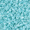 Glass Seed Beads SEED-A011-3mm-154-3