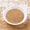 MIYUKI Delica Beads SEED-X0054-DB2171-2
