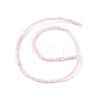 Natural Freshwater Shell Dyed Beads Strands X-SHEL-M018-12-09-2