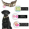 Transparent Blank Acrylic Pet Dog ID Tag PALLOY-AB00041-5
