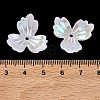 Plating Opaque Acrylic Imitation Shell Bead Cap OACR-P039-03E-3