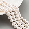 Natural Cultured Freshwater Pearl Beads Strands PEAR-C003-16B-2