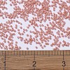 MIYUKI Delica Beads SEED-MY11-DB1363-4