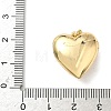 Brass Micro Pave Cubic Zirconia Locket Pendants LS-KK-F905-05G-03-3