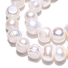 Natural Cultured Freshwater Pearl Beads Strands PEAR-N013-08G-5