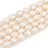 Natural Cultured Freshwater Pearl Beads Strands PEAR-P064-20C-03A-2