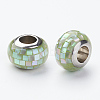 304 Stainless Steel Resin European Beads RPDL-P002-A06-1