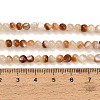 Natural Sea Shell Beads Strands SH-CBA93AD-02-4