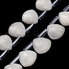 Natural Rainbow Moonstone Beads Strands G-C292-A01-01-1