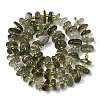 Natural Green Quartz Beads Strands G-L649-C03-01-3