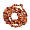 Natural Red Agate Beads Strands G-L655-A01-01B-3