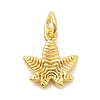 Brass Charms KK-C139-31C-G-1